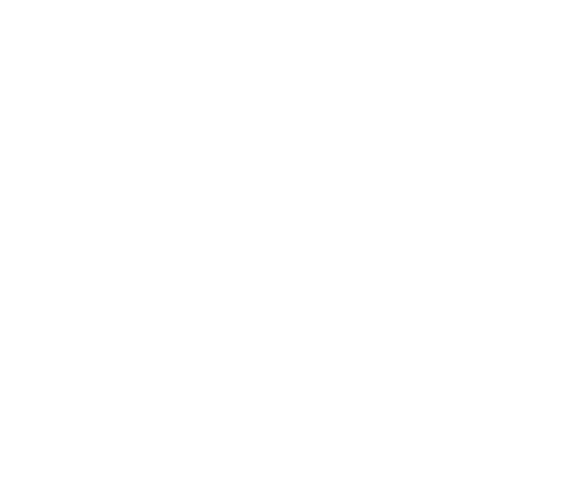 C4RBON GROUP